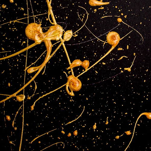 pc_luxe_golden_splash