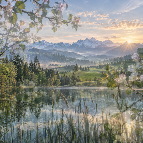 allgovia_fruehling_fruehlingserwachen