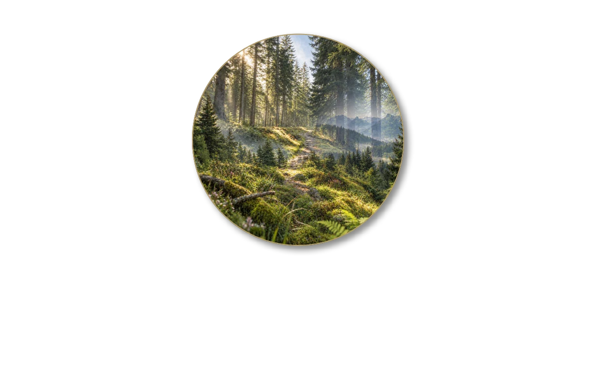 Allgovia Edition Logo Ein Bild der Allgovia Edition mit dem Schriftzug "with Passion - Patricio Cataldo"