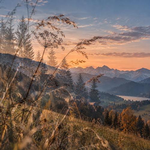 allgovia_herbst_abendglut