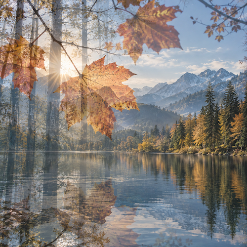 allgovia_herbst_blattgefluester