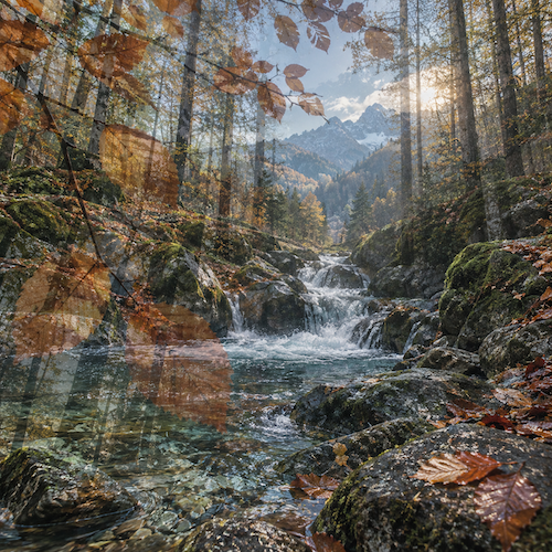 allgovia_herbst_goldfluss