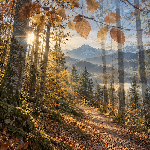 allgovia_herbst_goldpfad