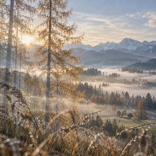 allgovia_herbst_morgennebel