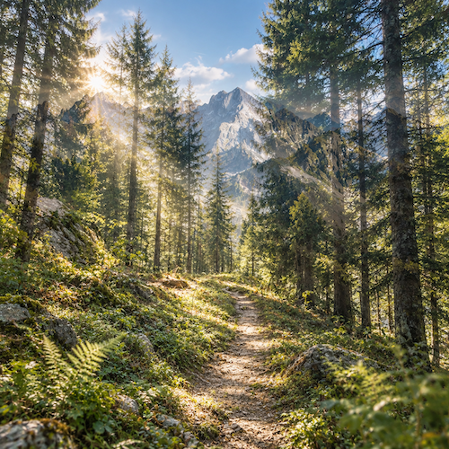 allgovia_sommer_lichtzauber