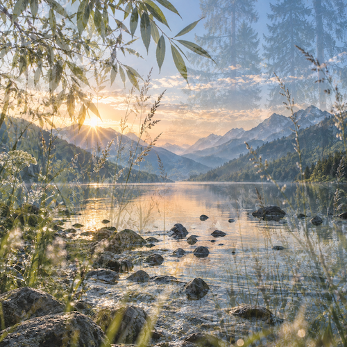 allgovia_sommer_sommerstille