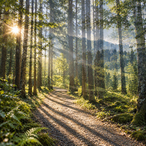 allgovia_sommer_sonnenpfad